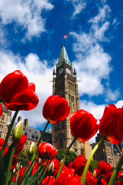 Ottawa Tulip festival