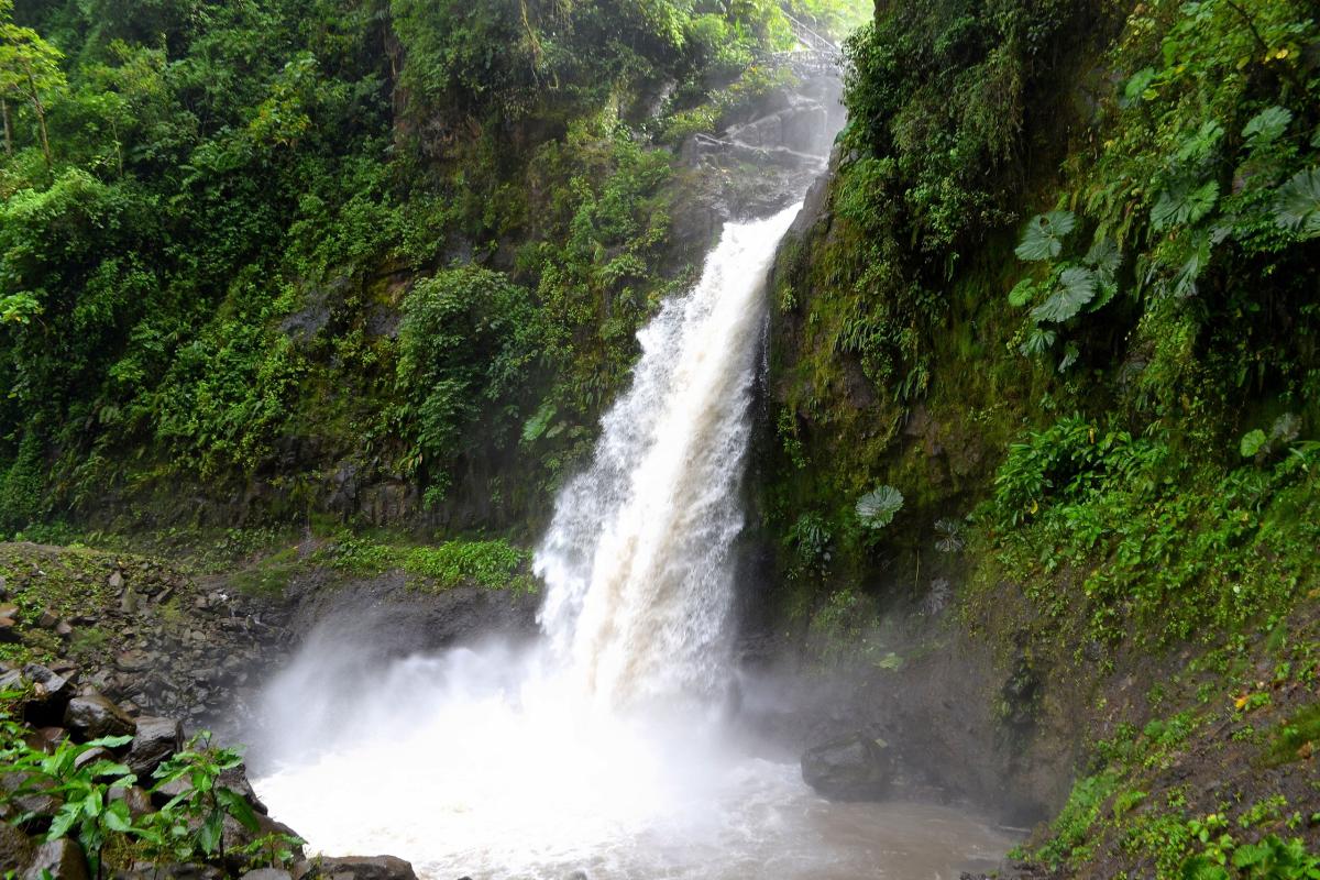 La Paz Waterfall Gardens Nature Park: A Must-See in Costa Rica