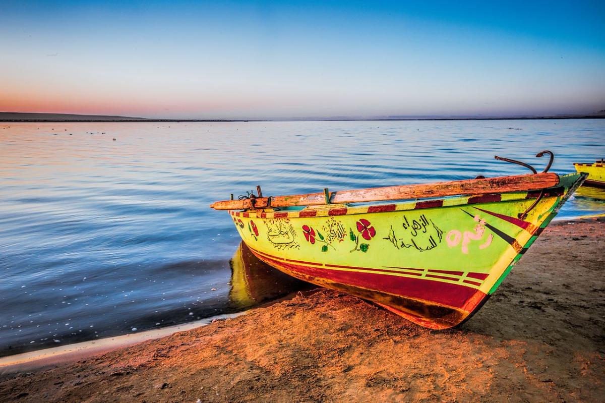Day Trip to Fayoum: An Oasis of Nature and History