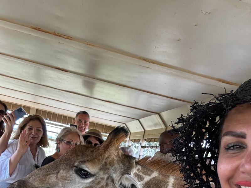 Safari in wild Nature, South Africa, an amazing moment with a Giraffe joining us just to say HI!