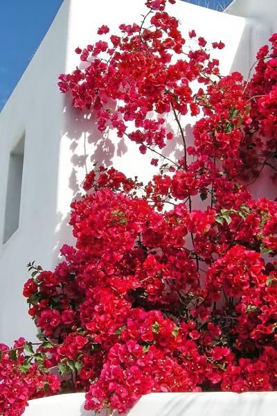 Spian & The Canary Islands
